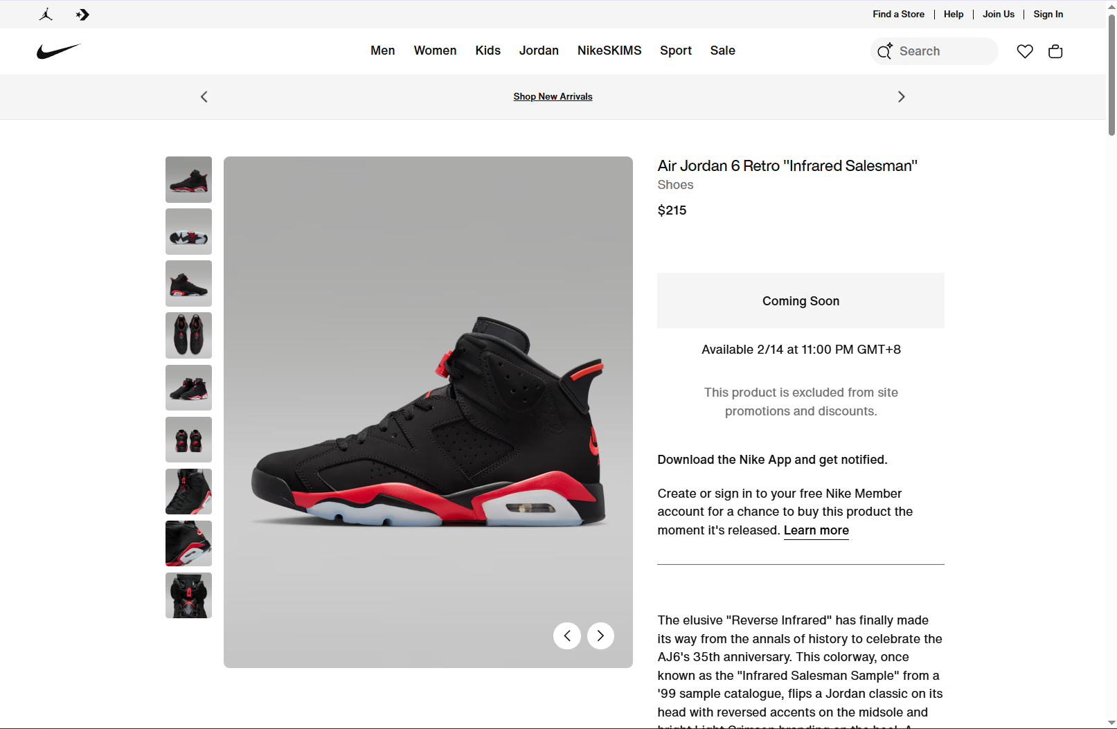Air Jordan 6 reference photo showing shoe details